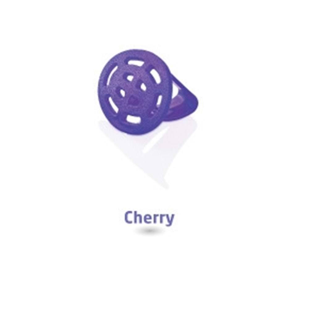 Rulopak Askılı Koku Giderici Cherry R200344