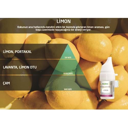 Rulopak Limon Profesyonel Koku Esansı Kartuşu 499 R200558