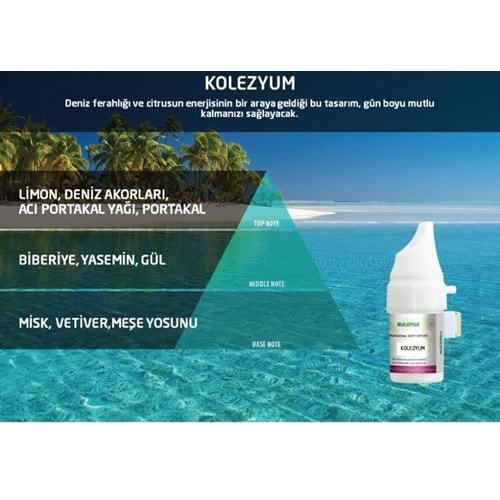 Rulopak Kolezyum Profesyonel Koku Esansı Kartuşu 377 R200509